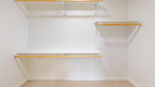 spacious closet with carpet floors