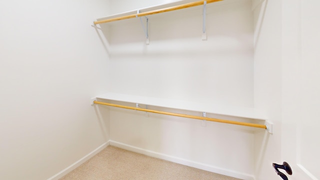 spacious closet featuring light colored carpet