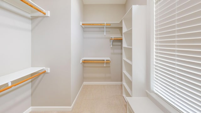 walk in closet featuring carpet flooring