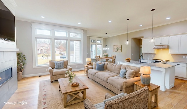 living area with plenty of natural light, light wood-type flooring, and crown molding