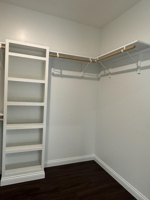 spacious closet featuring dark wood-type flooring