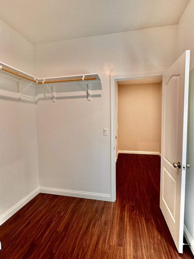 spacious closet with wood finished floors