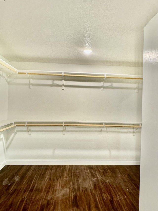 spacious closet with dark wood-style flooring