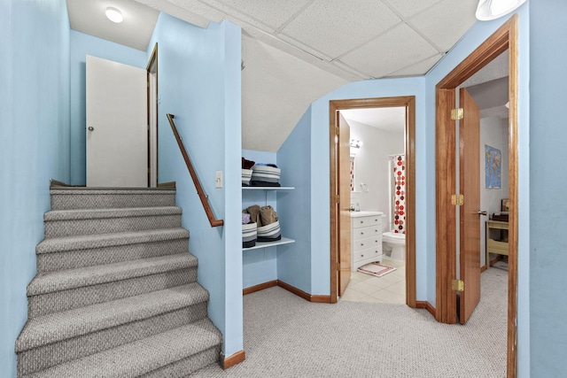 stairs featuring carpet, a paneled ceiling, and baseboards