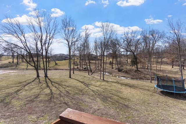 view of yard with a trampoline