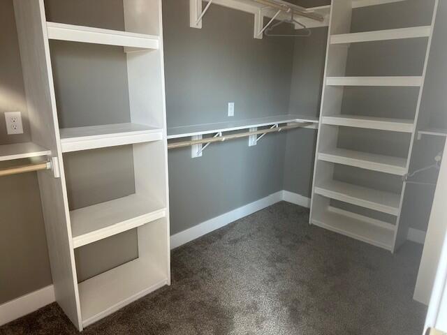 spacious closet with dark carpet