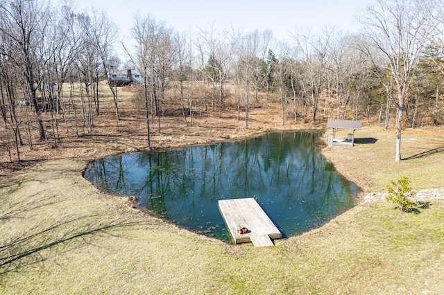 view of water feature featuring a dock