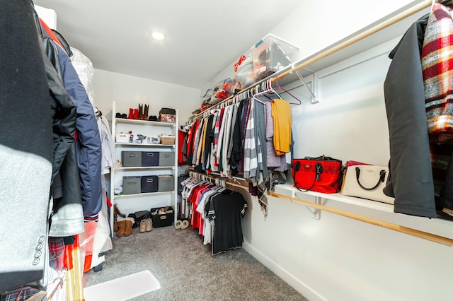 spacious closet featuring carpet floors