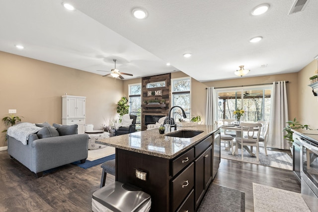 kitchen featuring a sink, stainless steel appliances, dark wood-type flooring, and a fireplace