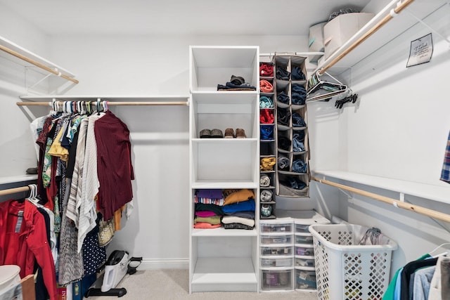 spacious closet featuring carpet