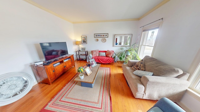 living area featuring ornamental molding, light wood-style flooring, and baseboards