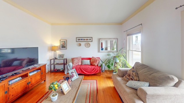 living room featuring ornamental molding and light wood-style flooring