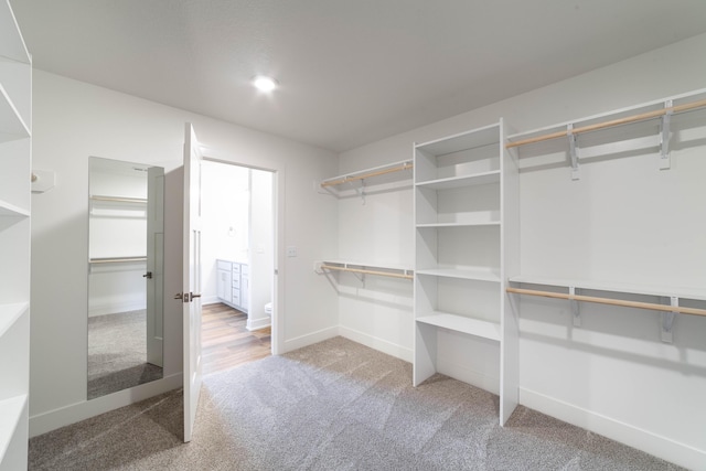 walk in closet with carpet floors