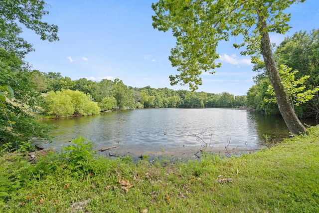 water view featuring a forest view