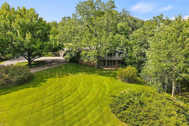 view of yard with driveway