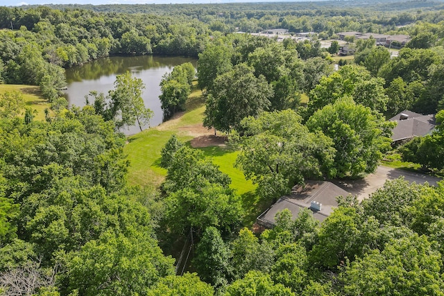 bird's eye view featuring a water view and a forest view