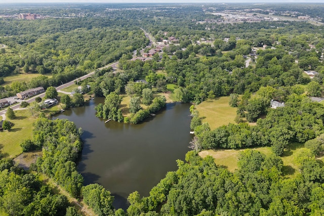 drone / aerial view with a water view and a view of trees