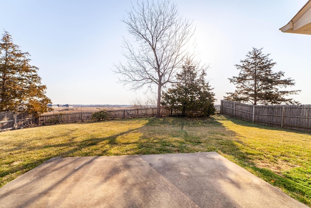 view of yard featuring a fenced backyard and a patio area