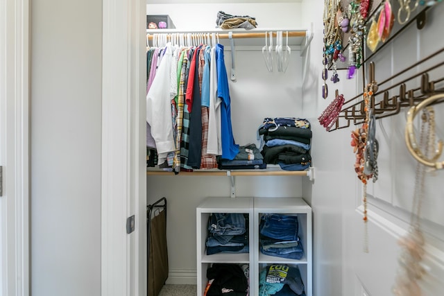 view of spacious closet