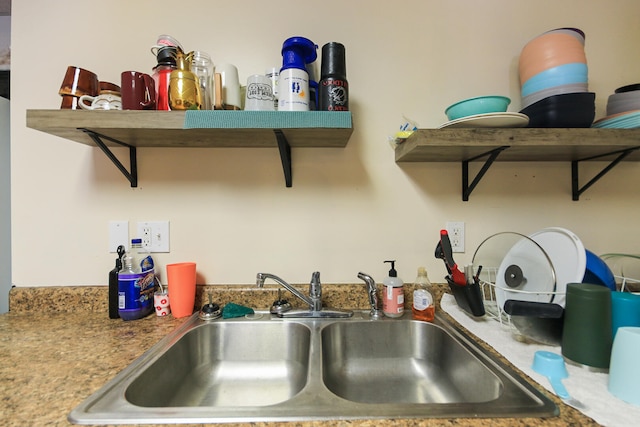 room details with open shelves and a sink