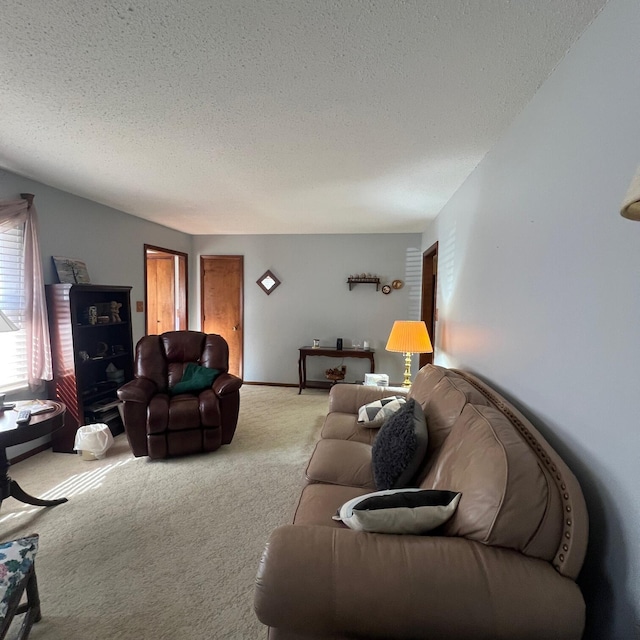 carpeted living room featuring baseboards and a textured ceiling