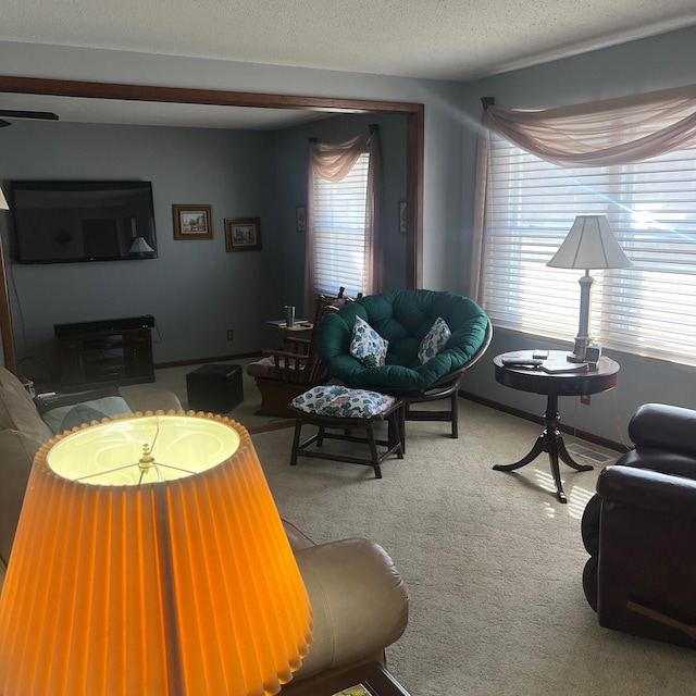 living area featuring baseboards, carpet, and a textured ceiling