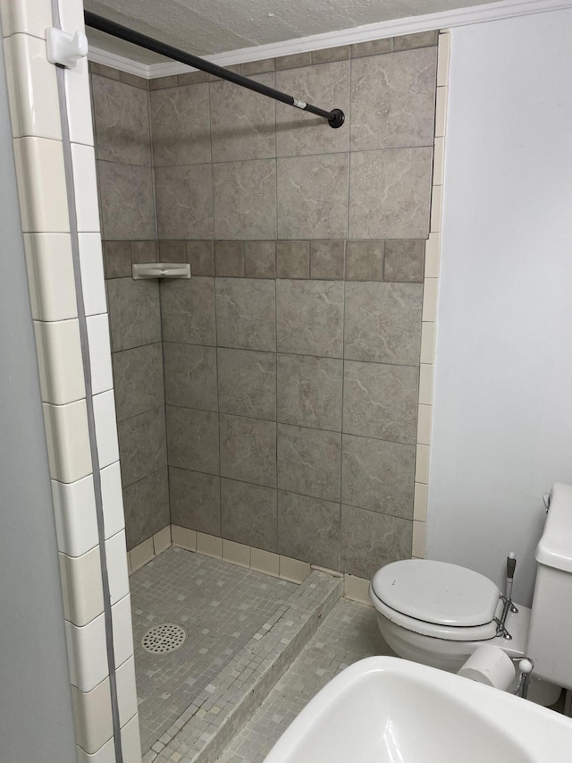 full bathroom featuring a shower stall and toilet