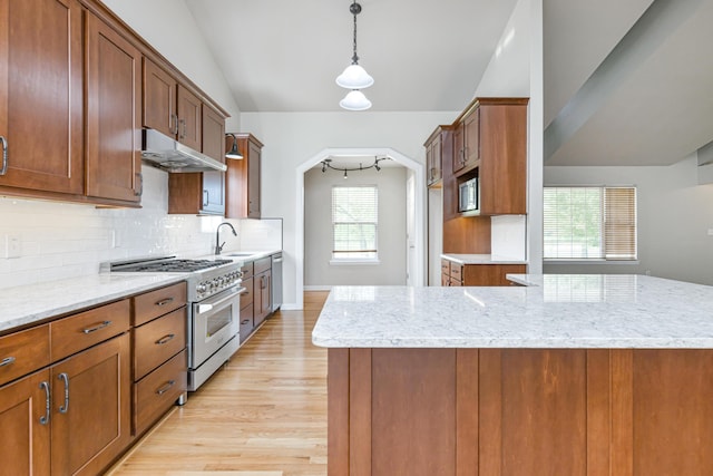 kitchen featuring under cabinet range hood, a sink, tasteful backsplash, appliances with stainless steel finishes, and lofted ceiling