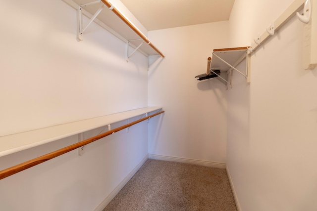 walk in closet with light carpet