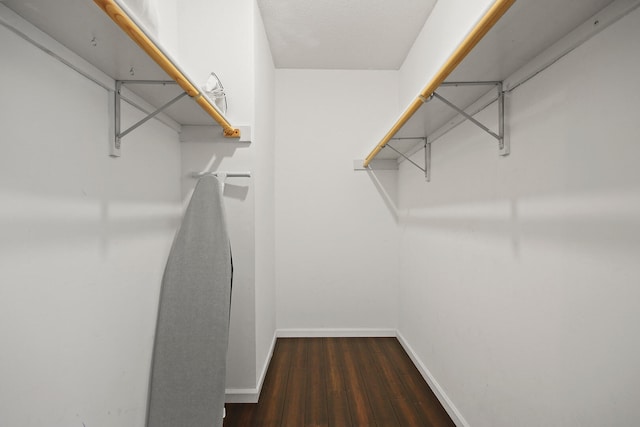 walk in closet featuring wood finished floors