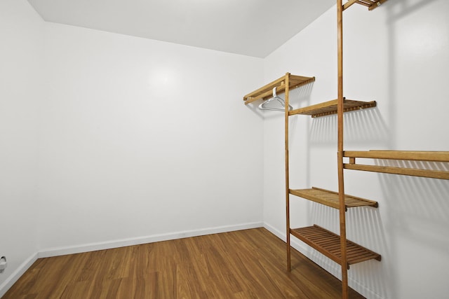 walk in closet with wood finished floors