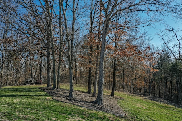 view of yard with a view of trees