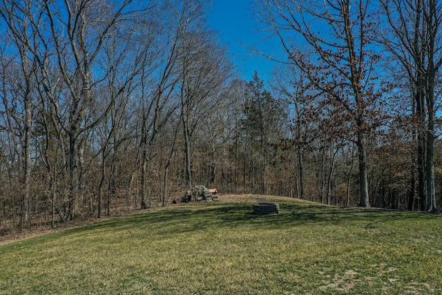 view of yard with a forest view