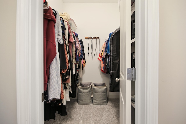 spacious closet with carpet