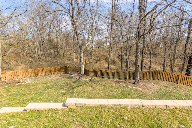 view of yard featuring a fenced backyard