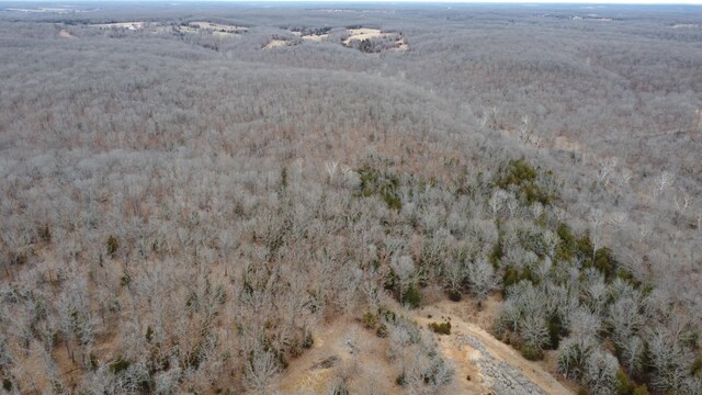 99.5ACRES County Road 40, Cross Timbers, MO 65634