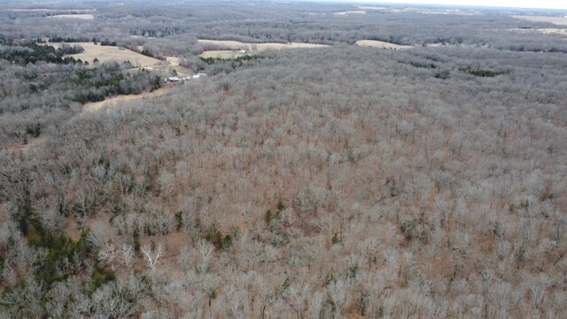 99.5ACRES County Road 40, Cross Timbers, MO 65634