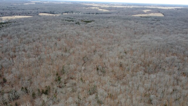 99.5ACRES County Road 40, Cross Timbers, MO 65634