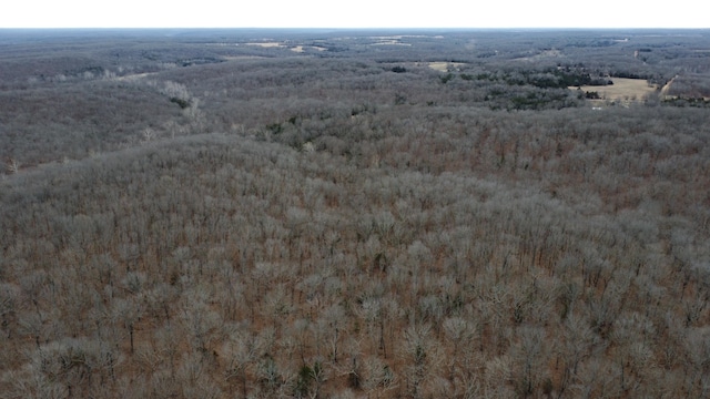 99.5ACRES County Road 40, Cross Timbers, MO 65634