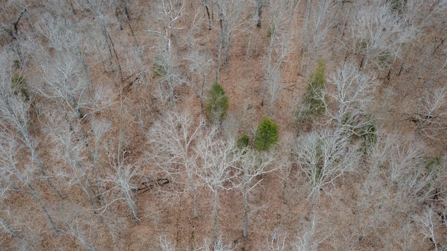99.5ACRES County Road 40, Cross Timbers, MO 65634