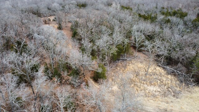 99.5ACRES County Road 40, Cross Timbers, MO 65634
