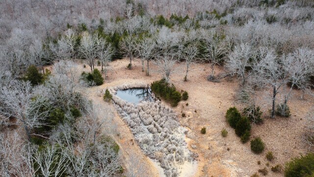 99.5ACRES County Road 40, Cross Timbers, MO 65634
