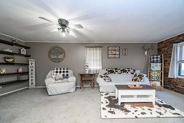 living room featuring carpet floors and a textured ceiling