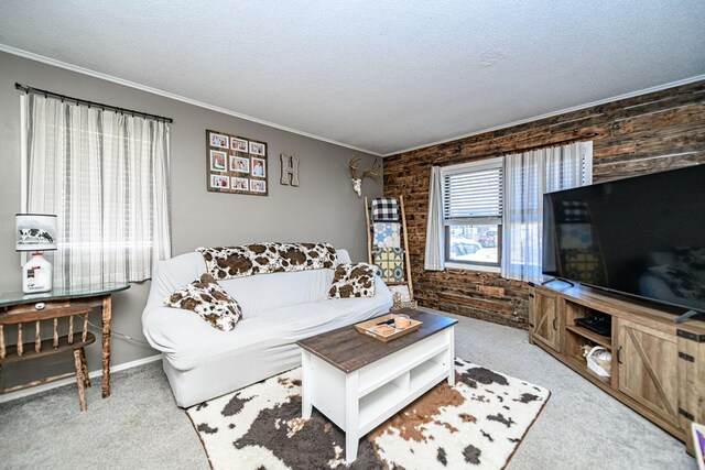 carpeted living area featuring wood walls, a textured ceiling, and ornamental molding