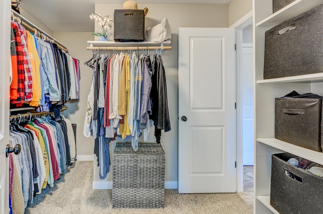 spacious closet featuring carpet