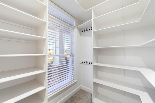 spacious closet with carpet