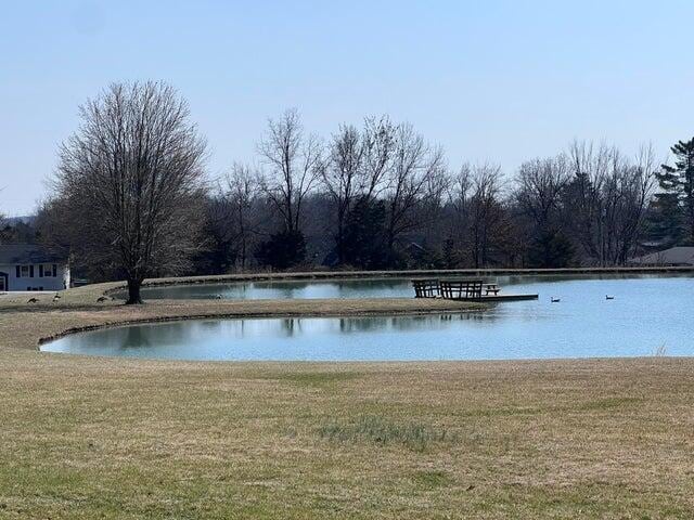 view of water feature