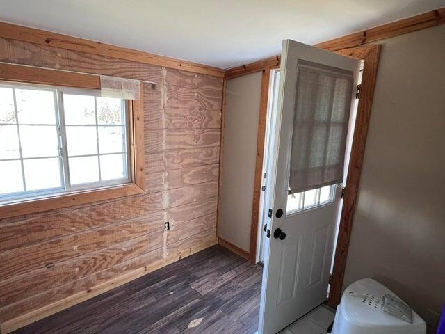 entrance foyer featuring wooden walls and dark wood-style flooring