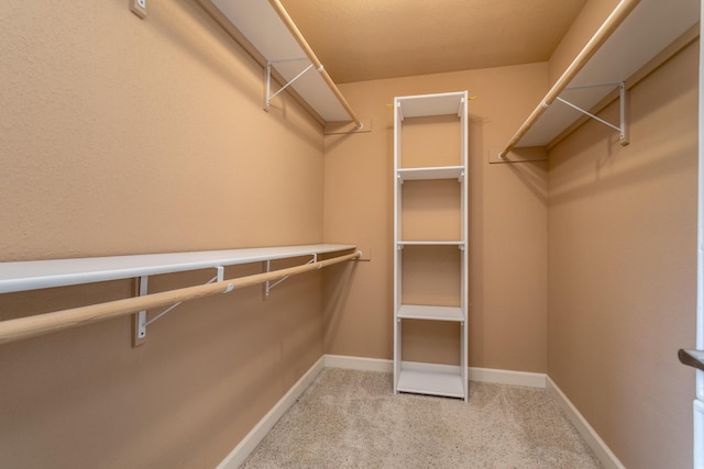 606 Billy Joe Sapp Dr, Ashland, MO 65010 - walk in closet with carpet