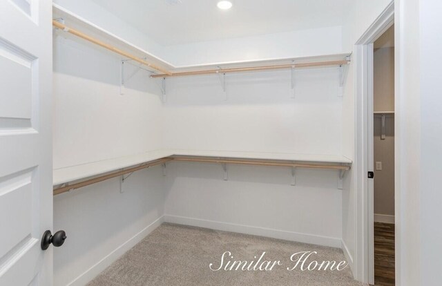 walk in closet with light colored carpet
